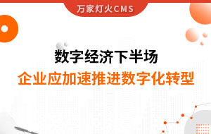數(shù)字經(jīng)濟(jì)下半場，企業(yè)應(yīng)加速推進(jìn)數(shù)字化轉(zhuǎn)型
