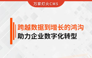 跨越數(shù)據(jù)到增長的鴻溝，助力企業(yè)數(shù)字化轉(zhuǎn)型